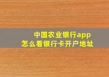 中国农业银行app怎么看银行卡开户地址