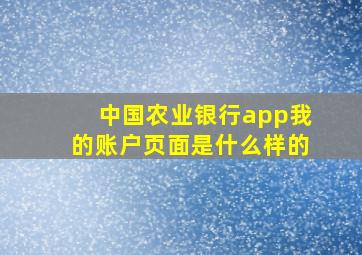 中国农业银行app我的账户页面是什么样的