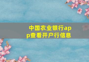 中国农业银行app查看开户行信息