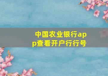 中国农业银行app查看开户行行号