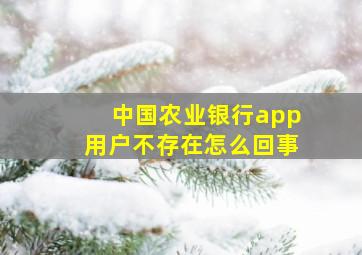 中国农业银行app用户不存在怎么回事