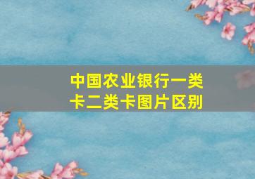 中国农业银行一类卡二类卡图片区别