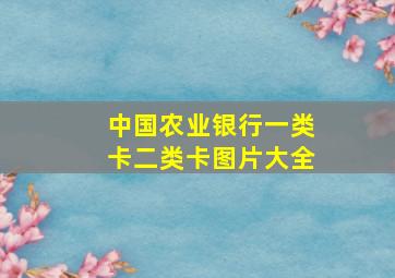 中国农业银行一类卡二类卡图片大全