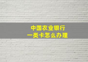 中国农业银行一类卡怎么办理