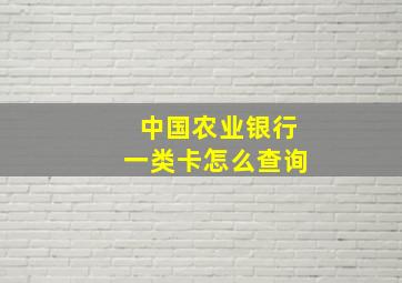 中国农业银行一类卡怎么查询