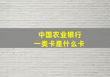 中国农业银行一类卡是什么卡