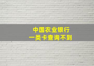 中国农业银行一类卡查询不到