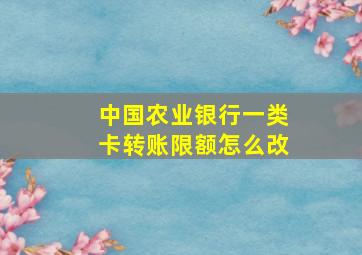 中国农业银行一类卡转账限额怎么改