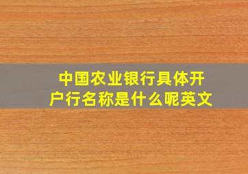 中国农业银行具体开户行名称是什么呢英文