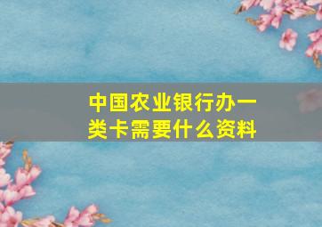 中国农业银行办一类卡需要什么资料