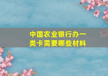 中国农业银行办一类卡需要哪些材料