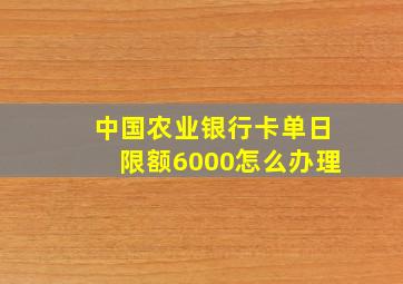 中国农业银行卡单日限额6000怎么办理