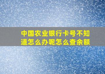 中国农业银行卡号不知道怎么办呢怎么查余额