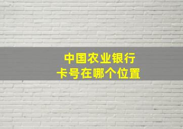 中国农业银行卡号在哪个位置