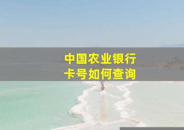 中国农业银行卡号如何查询