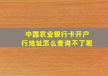 中国农业银行卡开户行地址怎么查询不了呢