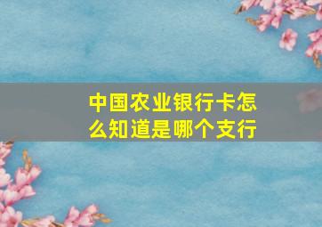 中国农业银行卡怎么知道是哪个支行