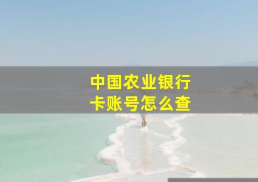 中国农业银行卡账号怎么查