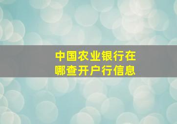 中国农业银行在哪查开户行信息