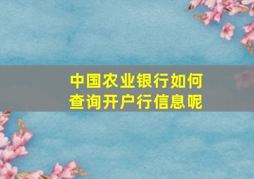 中国农业银行如何查询开户行信息呢