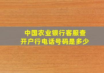 中国农业银行客服查开户行电话号码是多少