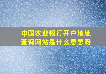 中国农业银行开户地址查询网站是什么意思呀