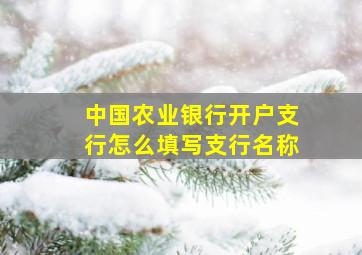 中国农业银行开户支行怎么填写支行名称