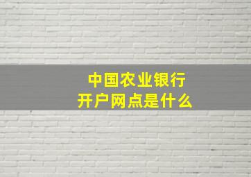 中国农业银行开户网点是什么