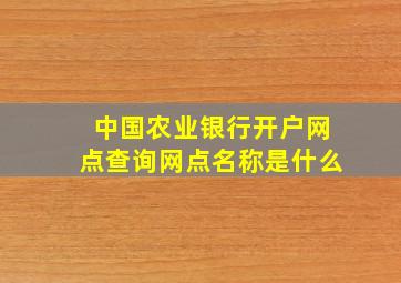 中国农业银行开户网点查询网点名称是什么