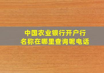 中国农业银行开户行名称在哪里查询呢电话