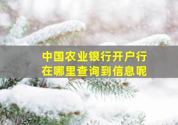 中国农业银行开户行在哪里查询到信息呢