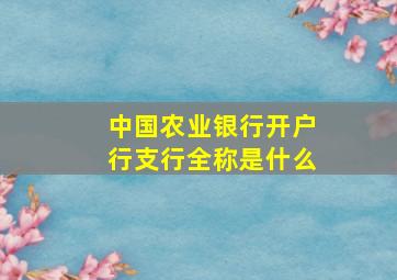 中国农业银行开户行支行全称是什么