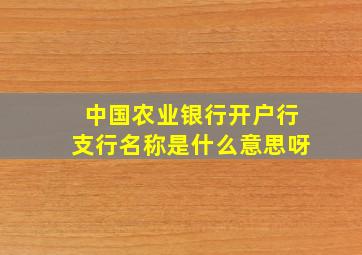 中国农业银行开户行支行名称是什么意思呀