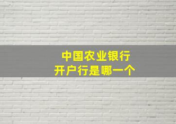 中国农业银行开户行是哪一个