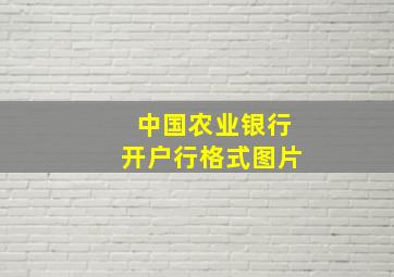 中国农业银行开户行格式图片