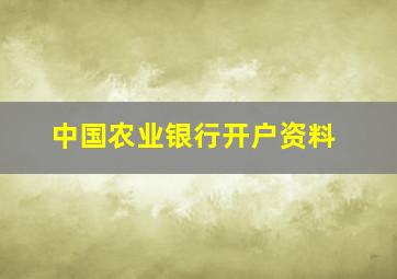 中国农业银行开户资料