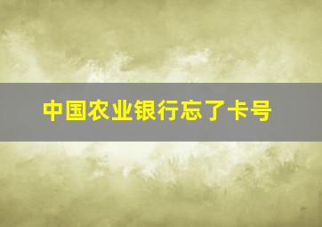 中国农业银行忘了卡号