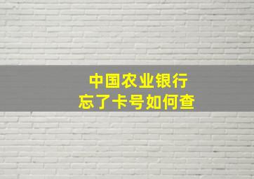 中国农业银行忘了卡号如何查