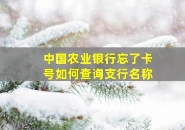 中国农业银行忘了卡号如何查询支行名称