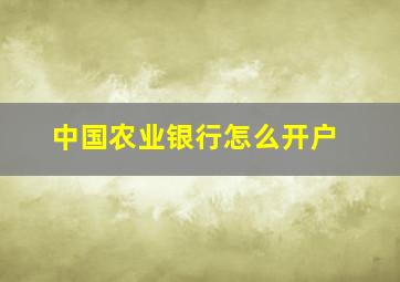 中国农业银行怎么开户