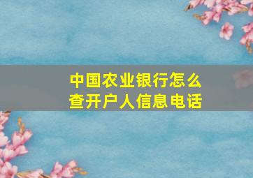 中国农业银行怎么查开户人信息电话