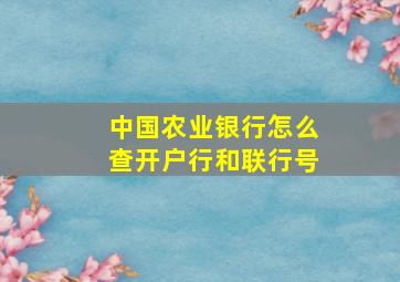 中国农业银行怎么查开户行和联行号