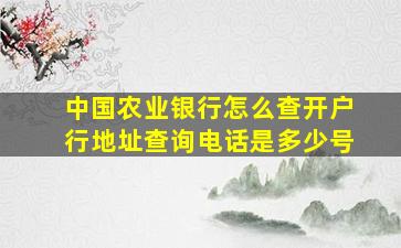 中国农业银行怎么查开户行地址查询电话是多少号