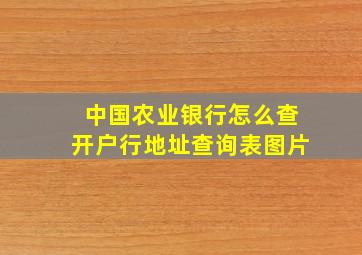 中国农业银行怎么查开户行地址查询表图片