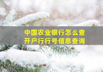 中国农业银行怎么查开户行行号信息查询