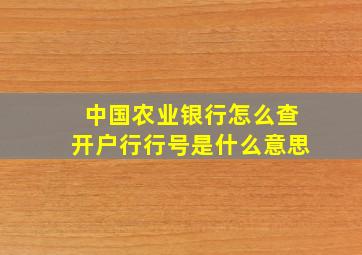 中国农业银行怎么查开户行行号是什么意思