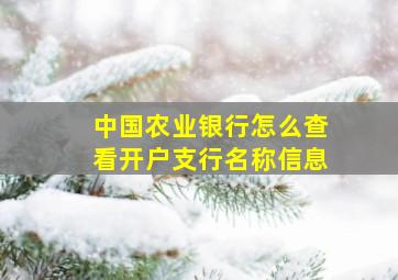 中国农业银行怎么查看开户支行名称信息