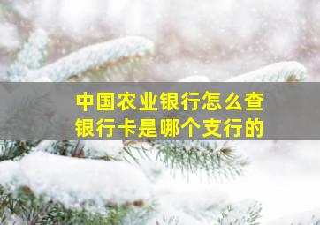 中国农业银行怎么查银行卡是哪个支行的