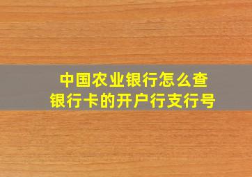 中国农业银行怎么查银行卡的开户行支行号