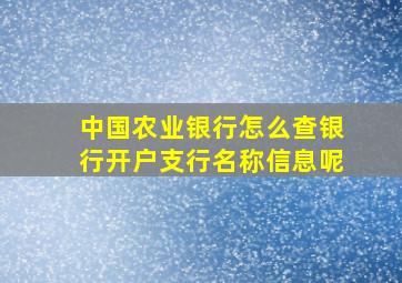 中国农业银行怎么查银行开户支行名称信息呢